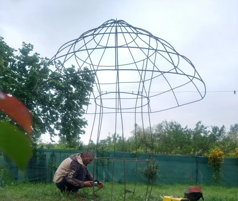 IMG_20240502_192215602_HDR