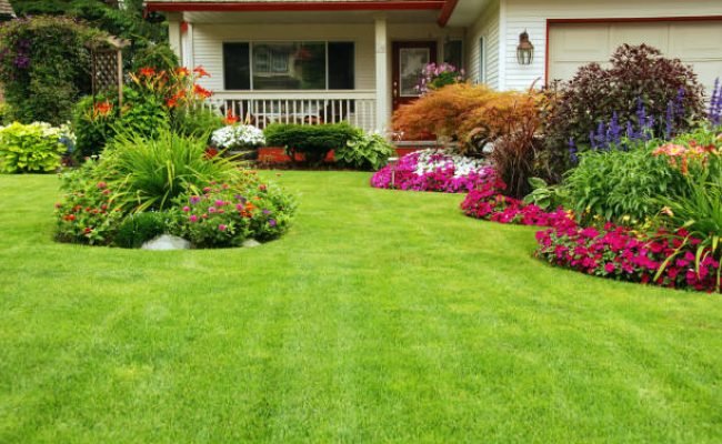 A finely manicured yard shows its summer colours. A finely manicured yard shows its summer colours.